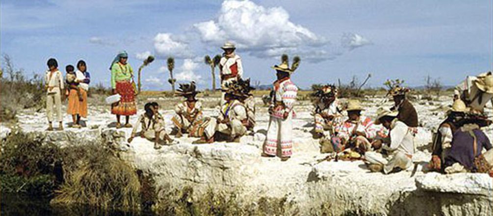 Huicholes at Wirikuta
