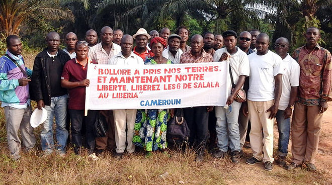 David vs. Goliath: “Bolloré stole our land, and now our freedom.” Farmers protesting at a Socfin plantation in Cameroon