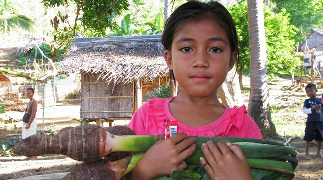 The indigenous Pala'wan families cultivate fruit and vegetables in small forest gardens A Pala’wan girl carrying Taro, the local vegetable, standing in front of village huts