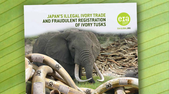 EIA ivory trade report