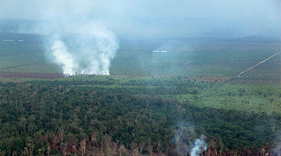 Aerial photograph of a burning rainforest