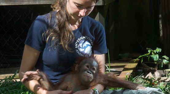 Veterinarian Karmele Llano