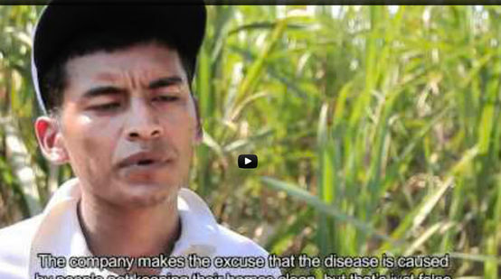 A sugar cane worker giving an Interview