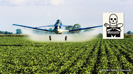 Crop duster aircraft spraying chemicals on a soy field