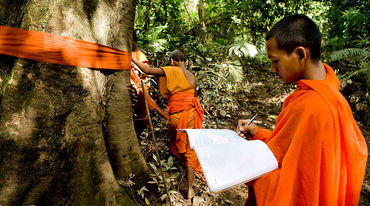 A monk has draped a tree trunk with orange cloth and is marking its location on a map.