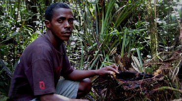 Armand Marozafy in the Malagasy rainforest