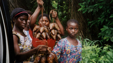 Nigeria, Cross River State