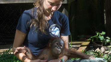 Veterinarian Karmele Llano