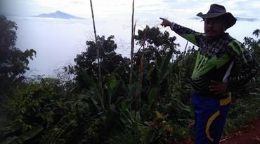 Indigenous man in Kelantan rainforest