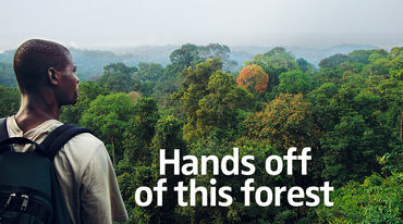 Hands off of this forest