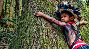 A young Paiter Surui treehugger