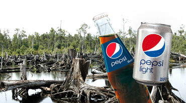 A can and a bottle of Pepsi, with a rainforest clearing in the background