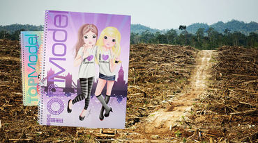 Photo montage with two Topmodel writing pads and a cleared rainforest area in the background