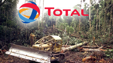 Rainforest clearing, Total logo