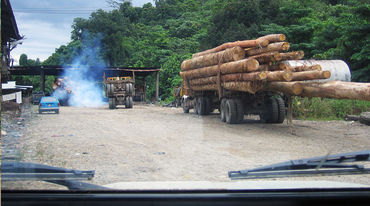 A Truck loaded with tropical timber in the Malaysian state Sabah