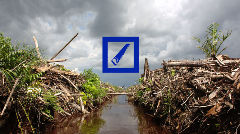 Freshly cleared rainforest. The Deutsche Bank logo is superimposed on the picture.