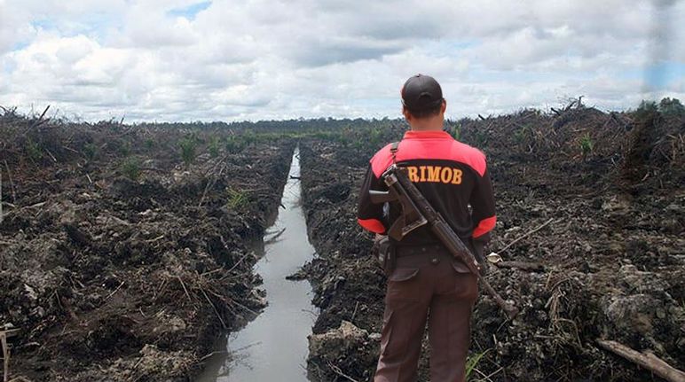 Palm oil companies hire armed thugs to protect their plantations A man wearing a Brimob logo and an assault rifle on his back in front of bulldozed rainforest