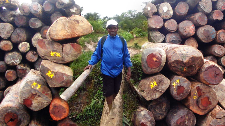 Malagasy environmentalist Clovis Razafimalala