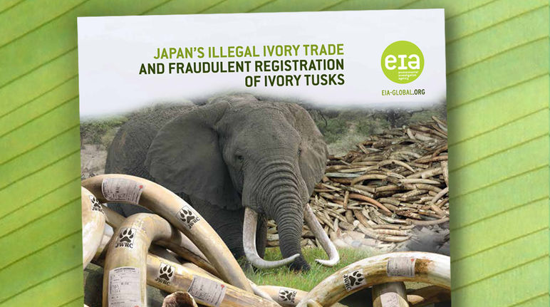 Yahoo is making itself an accomplice of poachers. EIA ivory trade report
