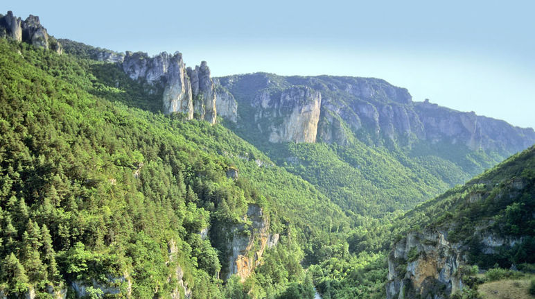A rugged, forested valley in southern France