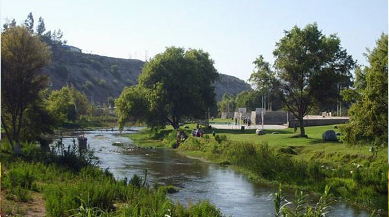 The fertile Huasco valley: a river flowing through green landscape
