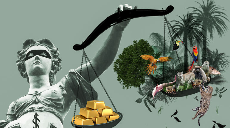 Gold or nature? Lady Justice has gold on one side of her balance and rainforest on the other. The gold weighs heavier.