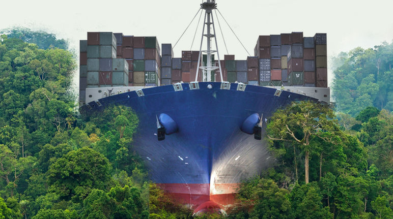 A container ship plowing through the rainforest
