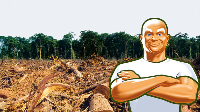 Mr. Clean standing with his arms crossed in front of a cleared forest