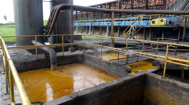Oil is extracted from palm fruit in mills like this one on Borneo. Palm oil mill on Borneo