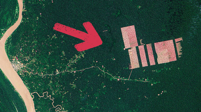 Aerial view of rainforest destruction