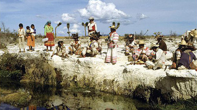 Huicholes at Wirikuta