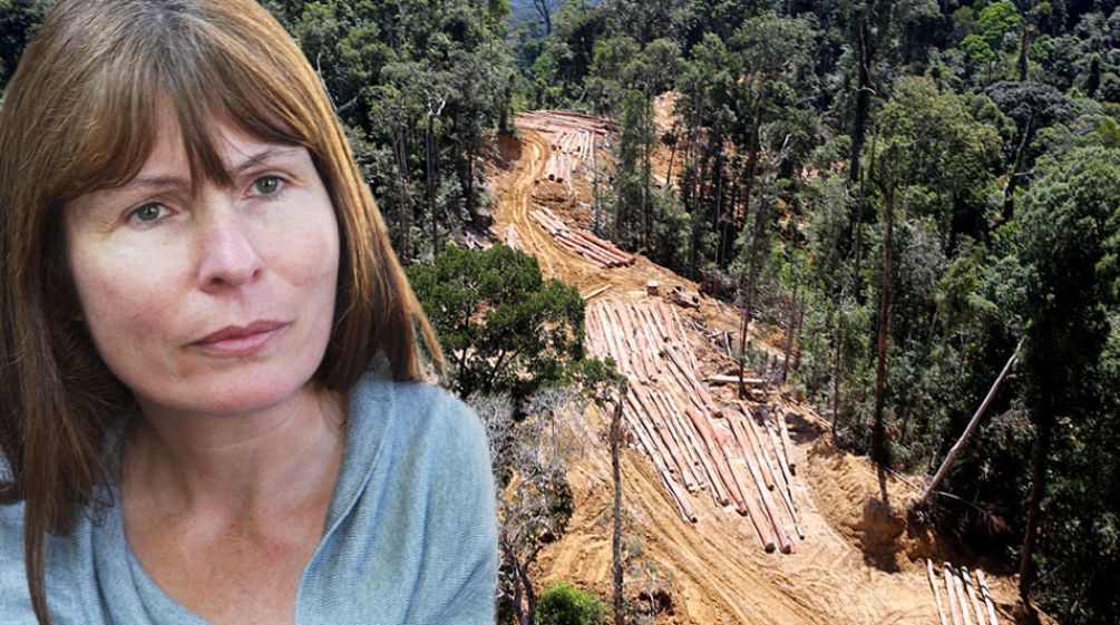 Photo montage of Sarawak Report’s Clare Rewcastle Brown and a forest being cleared