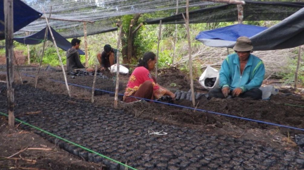 Preparing bags of rich soil for seedlings Volunteers fill bags with soil that will be used for planting tree seedlings