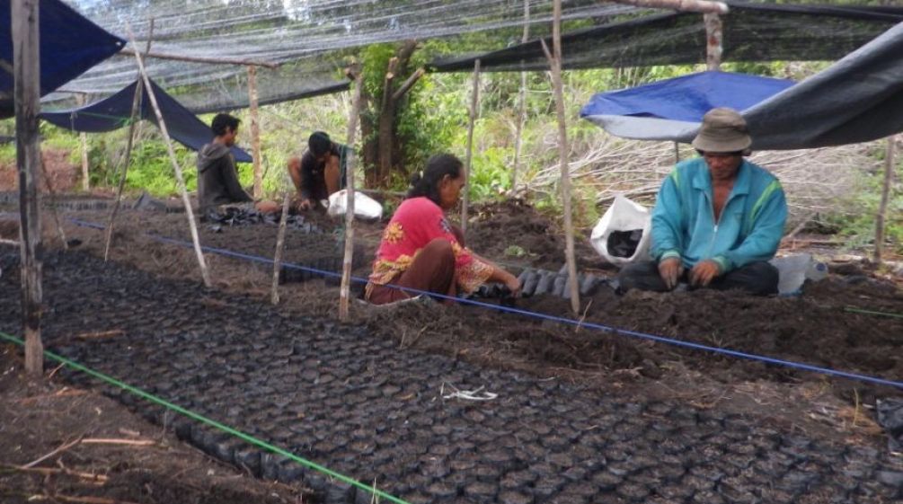 Volunteers fill bags with soil that will be used for planting tree seedlings