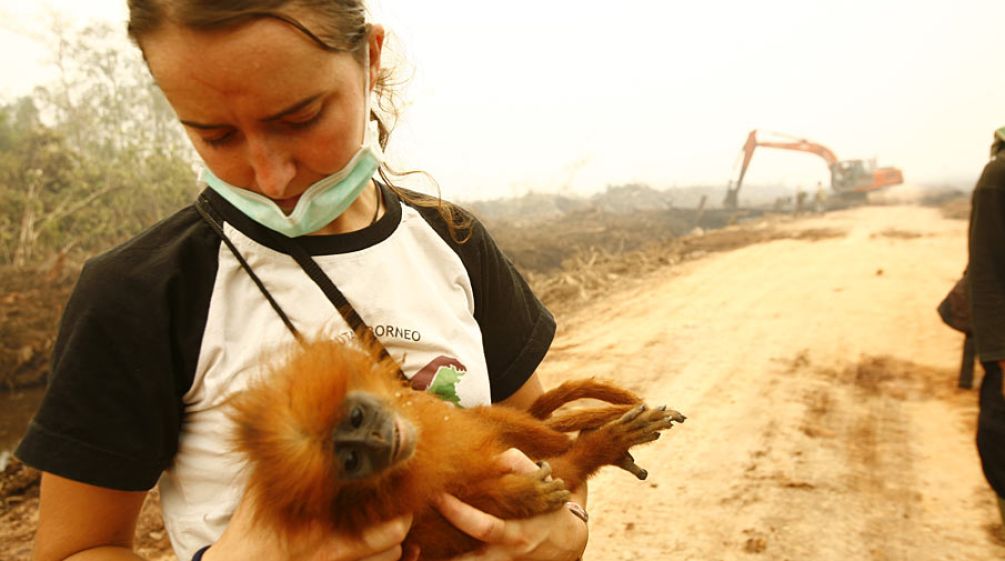 Karmele Llano is holding a primate whose rainforest has been destroyed for palm oil