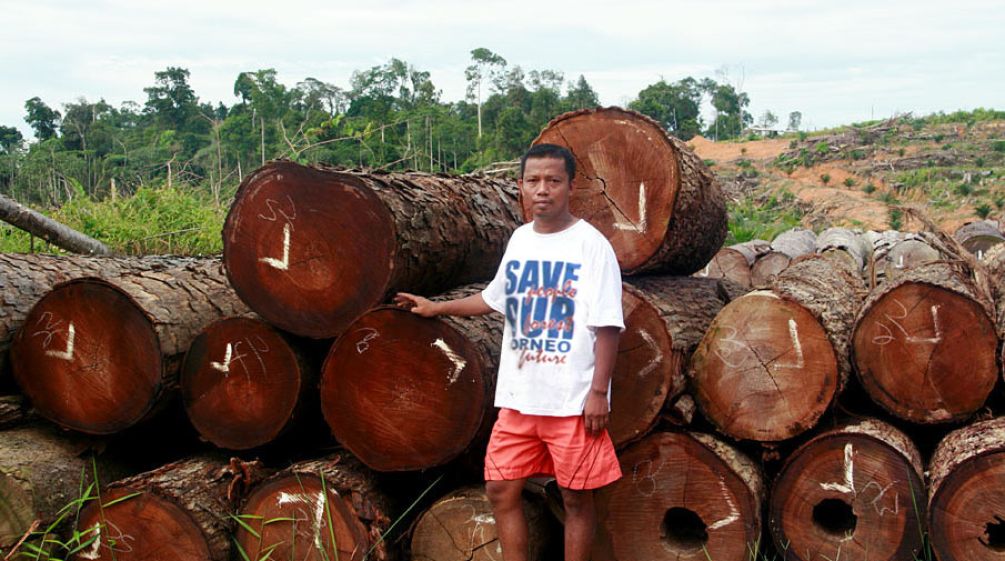 Nordin from Save Our Borneo in front of logs which have been illegally logged for palm oil plantations