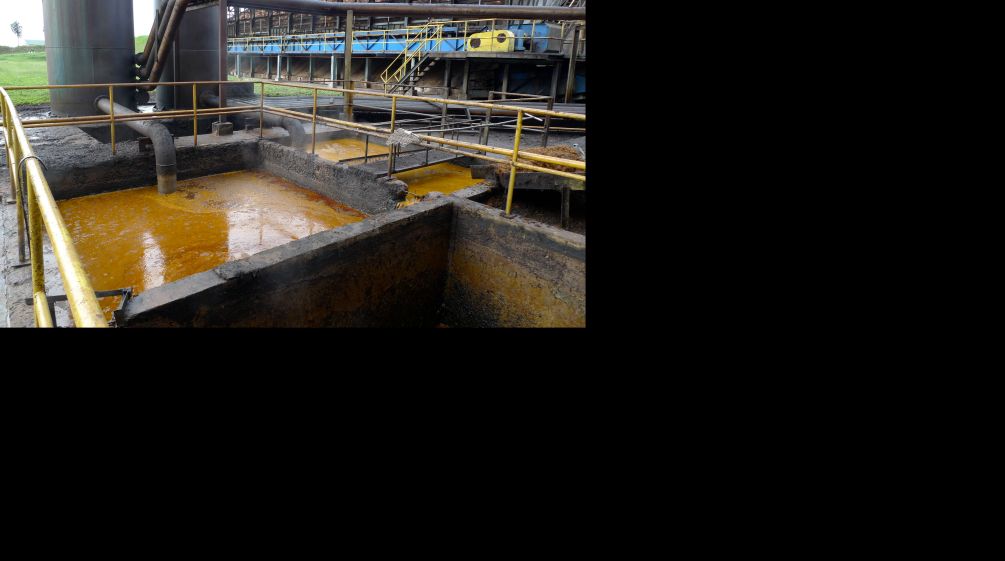 Oil is extracted from palm fruit in mills like this one on Borneo. Palm oil mill on Borneo