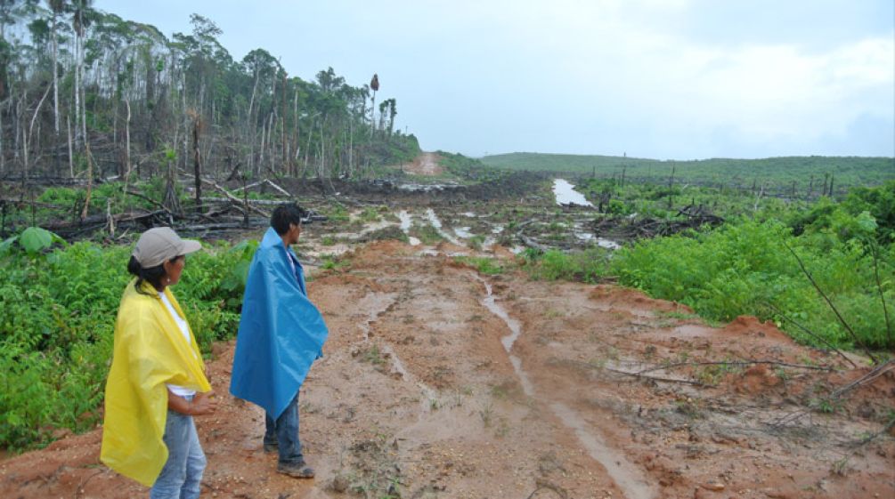 Two farmers look toward a clearing to be planted with oil palms.