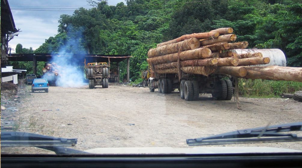 A Truck loaded with tropical timber in the Malaysian state Sabah