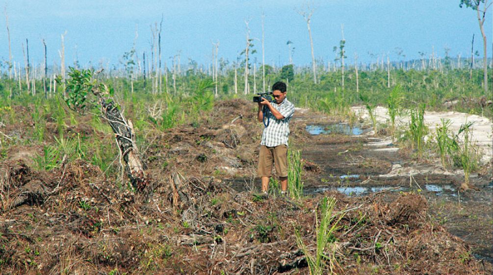 Conservationists record video of palm oil company Wilmar's logging activities