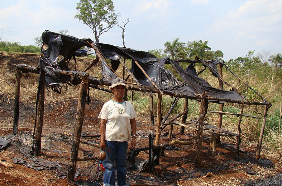 Biofuel: Shell backs out of indigenous territory - Rainforest Rescue