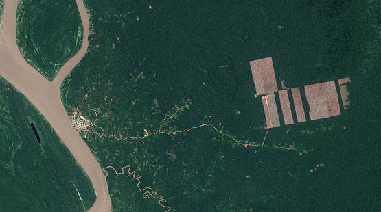 Aerial view of rainforest destruction